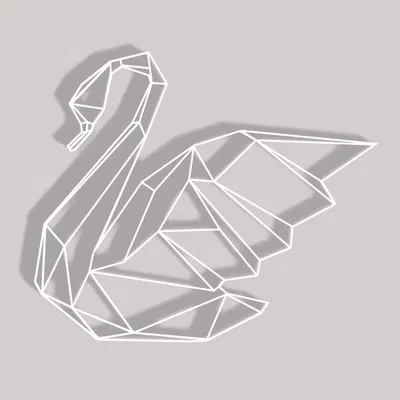 Thiên nga hình học