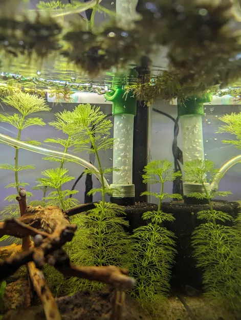 Nâng Cấp Bộ Lọc Bọt Biển (Spongefilter Upgrade) - Image 1