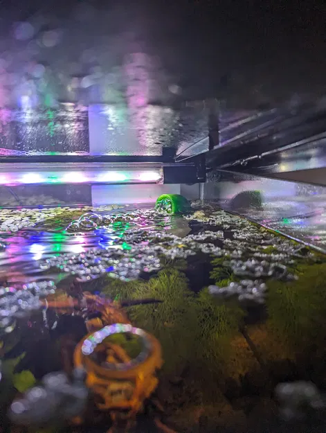 Nâng Cấp Bộ Lọc Bọt Biển (Spongefilter Upgrade) - Image 2