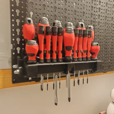 Kệ Đựng Bộ Tua Vít Parkside