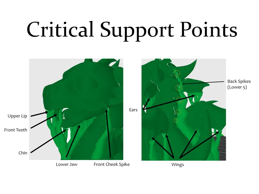 Rồng Con Baby Dragon - Mô hình in 3D - Image 2