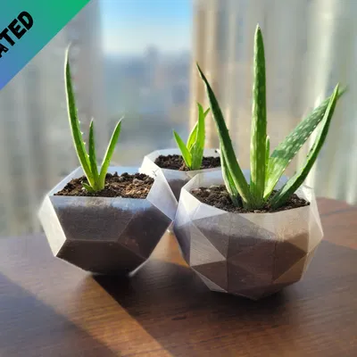 Chậu Cây Hình Khối Hình Học