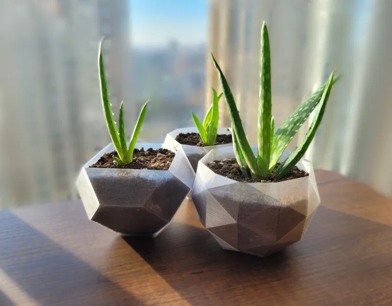 Chậu Cây Hình Khối Hình Học - Image 2