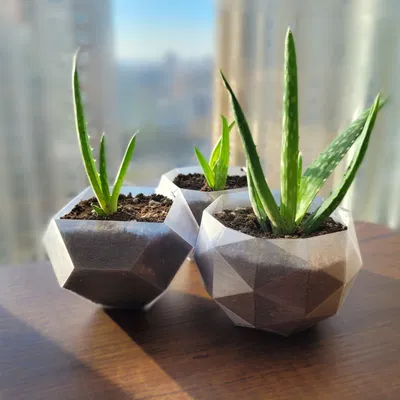 Chậu Cây Hình Khối Hình Học