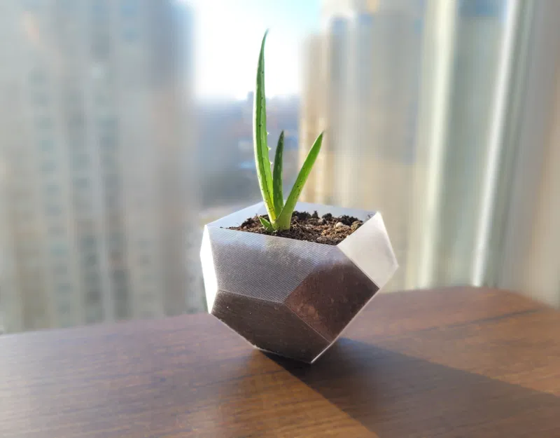 Chậu Cây Hình Khối Hình Học - Image 4