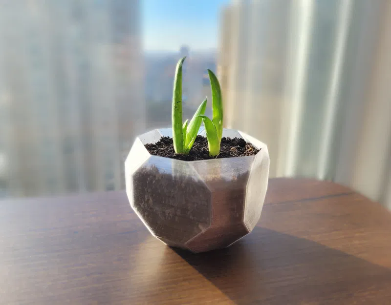 Chậu Cây Hình Khối Hình Học - Image 5