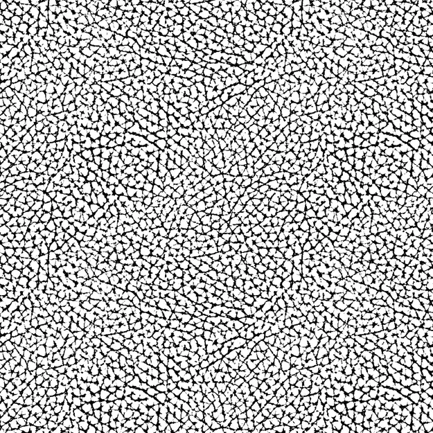 Ốp Tay Cầm và Nắp Vặn Máy Ảnh Olympus Pen-F - Image 6