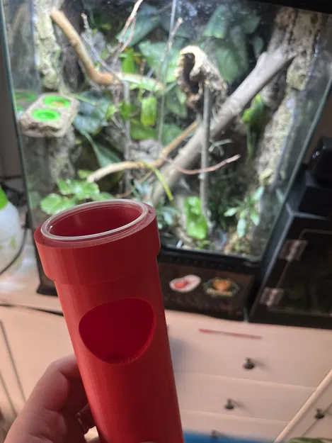 Ống Mario Cho Thằn Lằn Ăn Kèm Chỗ Ẩn - Image 1