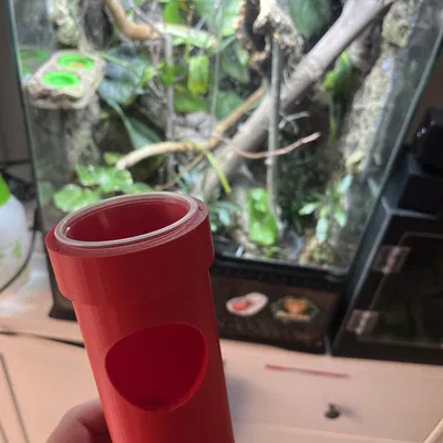 Ống Mario Cho Thằn Lằn Ăn Kèm Chỗ Ẩn