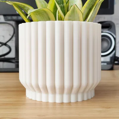 Chậu Cây Lullaby - Thiết kế chế độ Vase