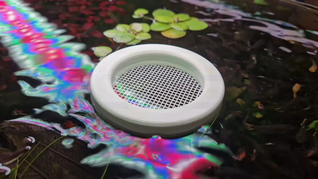 Máng ăn nổi cho giun Tubifex - Image 1