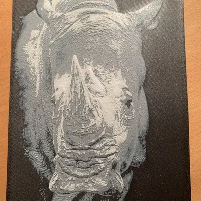 Tranh Sừng / HueForge bằng Sợi Nhựa