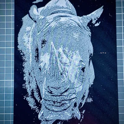 Tranh Sừng / HueForge bằng Sợi Nhựa