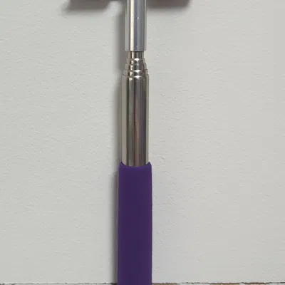 Giá Treo Tường Cho Cây Gãi Lưng Telescopic