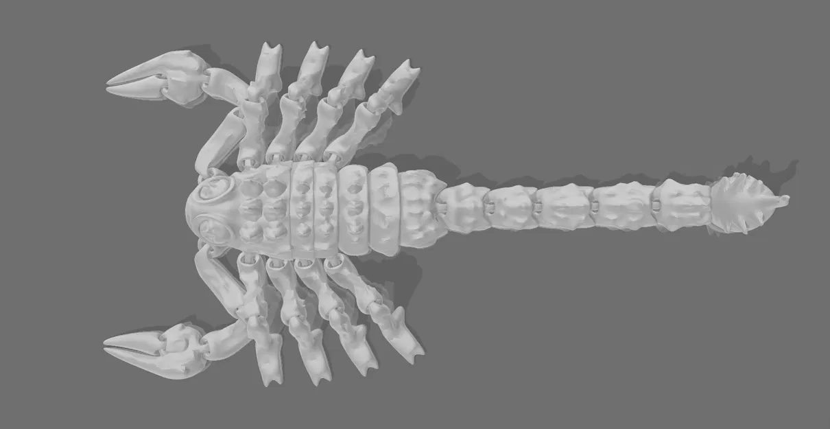 Bọ Cạp Dẻo Bicudo - Flexi_Scorpion_Bicudo - Image 2