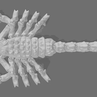 Bọ Cạp Dẻo Bicudo - Flexi_Scorpion_Bicudo