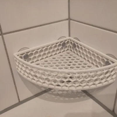 Hộp Đựng Hình Lục Giác - Hình Quý Tứ Tròn