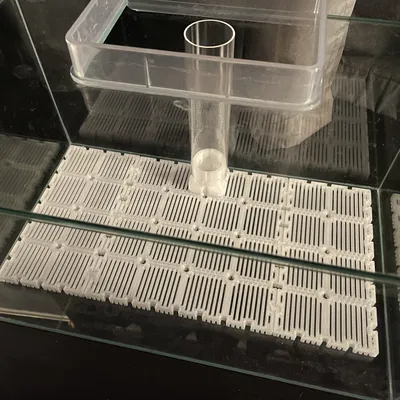 Tấm Lọc Dưới Sỏi Bể Cá Module