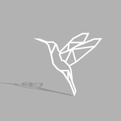 Chim Ruồi (Kolibrík) Hình Học