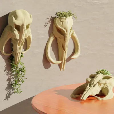 Đầu Rồng Mythosaur (The Mandalorian) - Bộ Chậu Cây Star Wars