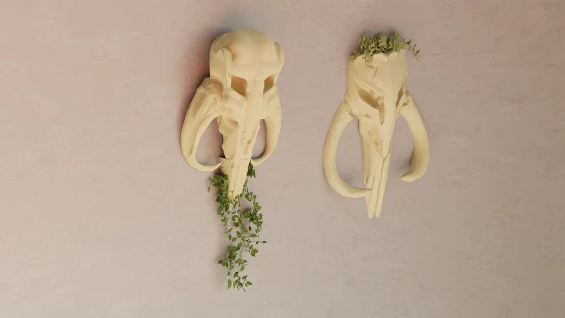 Đầu Rồng Mythosaur (The Mandalorian) - Bộ Chậu Cây Star Wars - Image 3