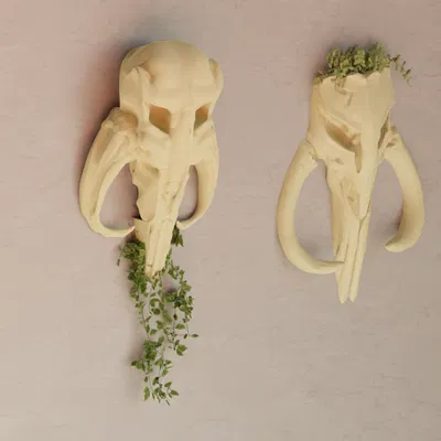 Đầu Rồng Mythosaur (The Mandalorian) - Bộ Chậu Cây Star Wars