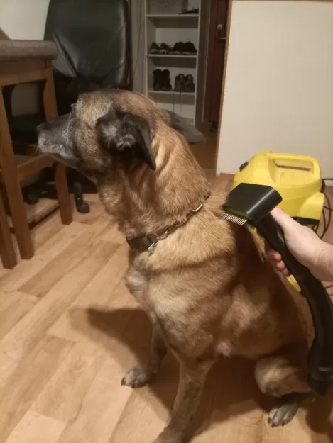 Lược Chải Lông Chó Có Gắn Máy Hút Bụi - Image 1