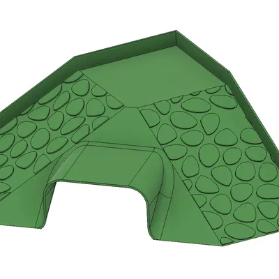 Cầu trượt cho Bò sát/Rùa