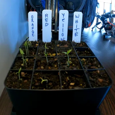 Chậu Ươm Hạt 4x4