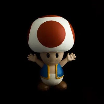 Toad Đôi Cóc - Mario Bros