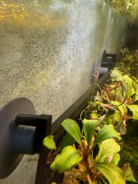 Trạm Nhân Giống Cây Biểu Sinh - Image 2