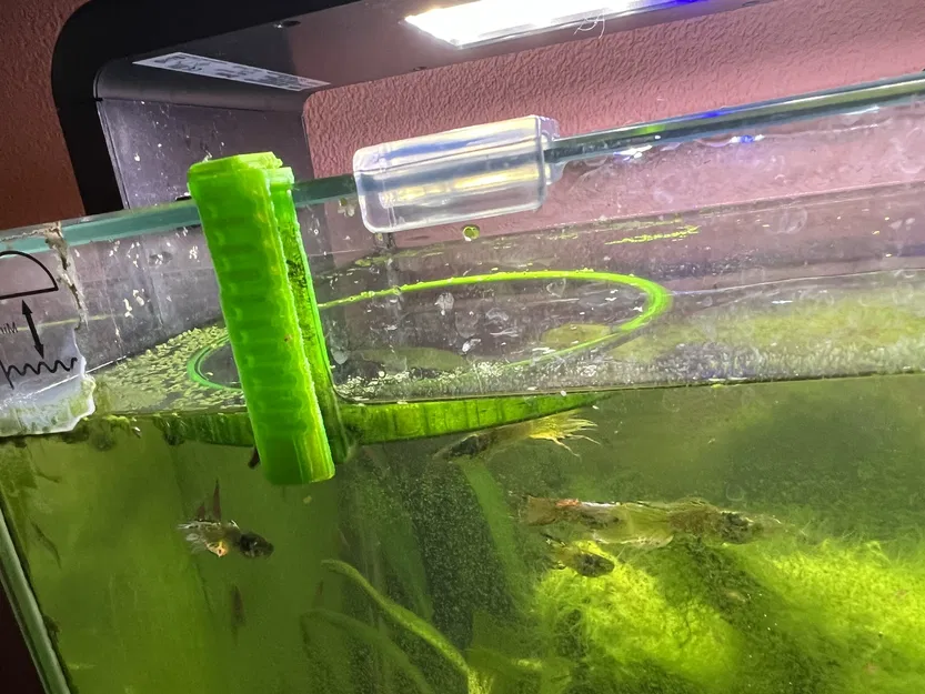 Vòng Cho Cá Ăn - Image 1