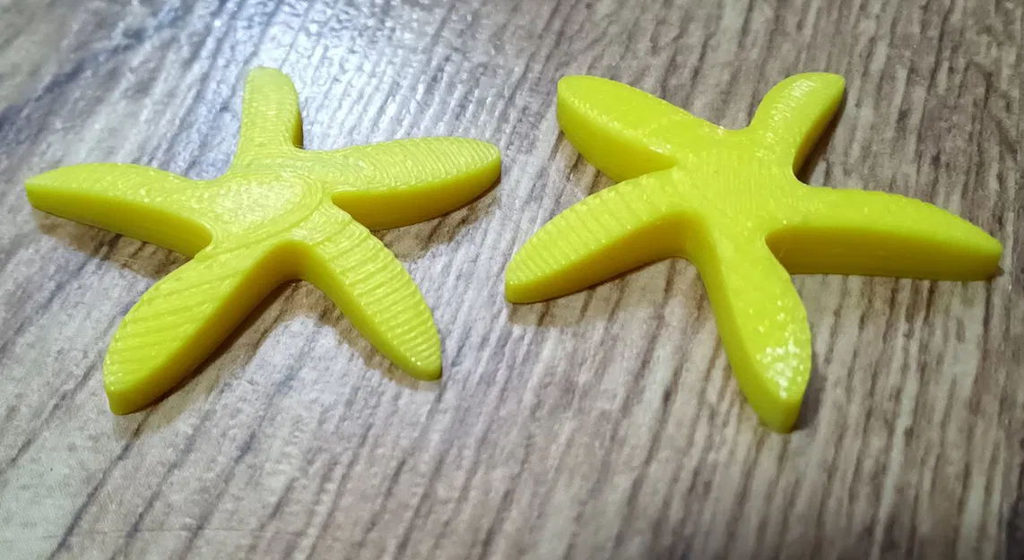 Ốc Sên Caracol - Anh Em Họ Của Gary Bạn Thân Spong Bob - Image 11