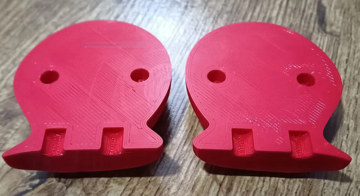 Ốc Sên Caracol - Anh Em Họ Của Gary Bạn Thân Spong Bob - Image 12