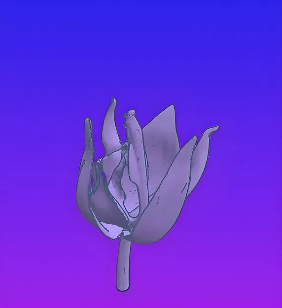 Hoa Hồng Cho Bể Cá Cảnh! - Image 1