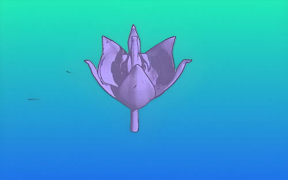 Hoa Hồng Cho Bể Cá Cảnh! - Image 2