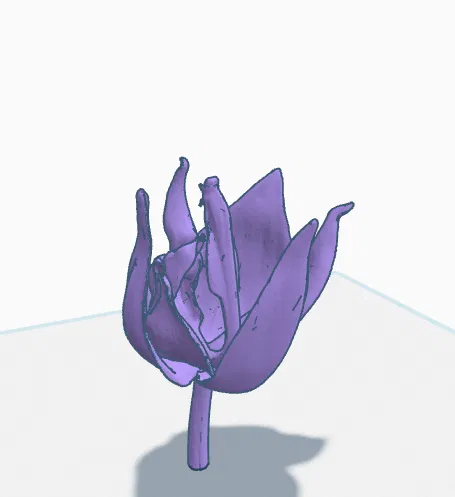 Hoa Hồng Cho Bể Cá Cảnh! - Image 4