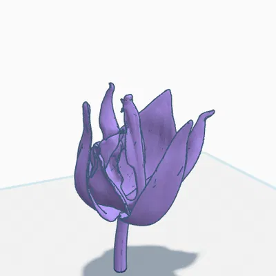 Hoa Hồng Cho Bể Cá Cảnh!