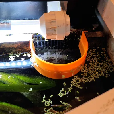 Chắn Rong Nổi Cho Lọc Juwel BioFlow