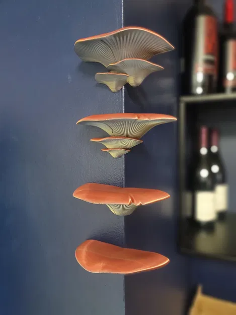 Kệ Nấm với Lỗ Nam Châm 12x3mm - Image 1