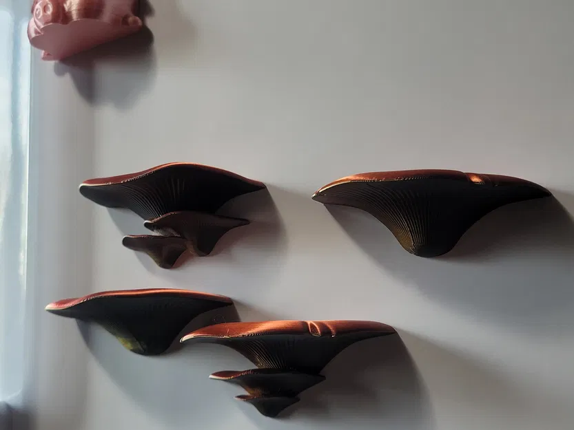 Kệ Nấm với Lỗ Nam Châm 12x3mm - Image 4