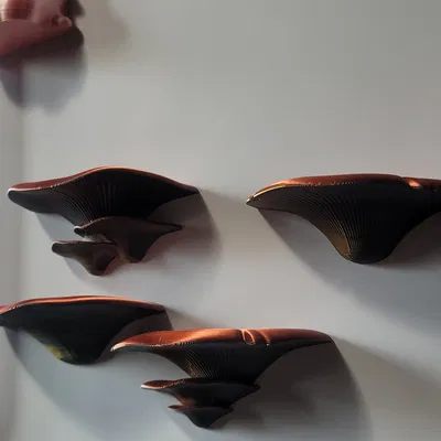 Kệ Nấm với Lỗ Nam Châm 12x3mm