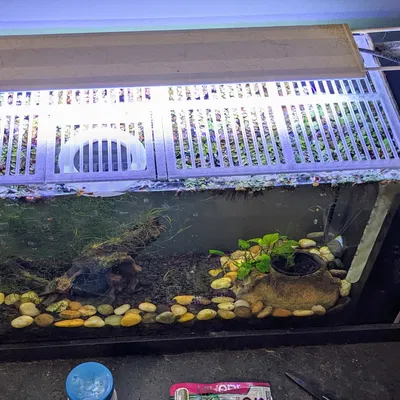 Nắp Hồ Cá Fluval Spec V