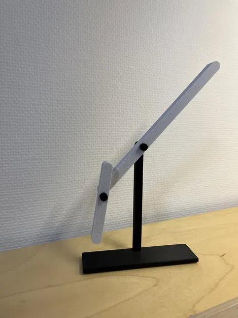 Con Lắc Hỗn Loạn In 3D Hoàn Toàn - Image 1