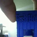 Mô hình cá - Thumbnail 1