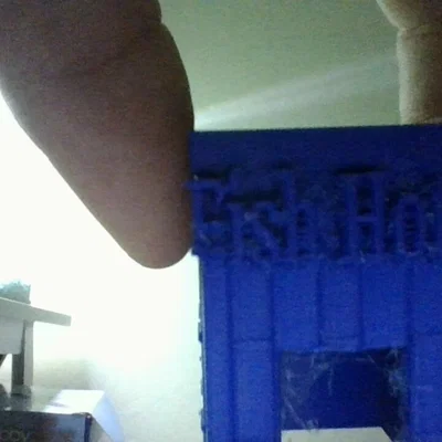 Mô hình cá