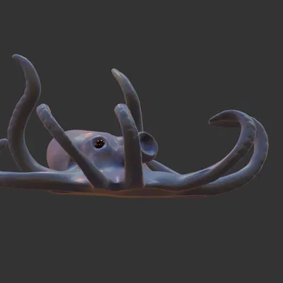 Mô Hình Bạch Tuộc 3D