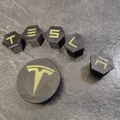 Nắp Chụp Mâm Xe Tesla - Bản Remix Có Logo In Màu - Thumbnail 2