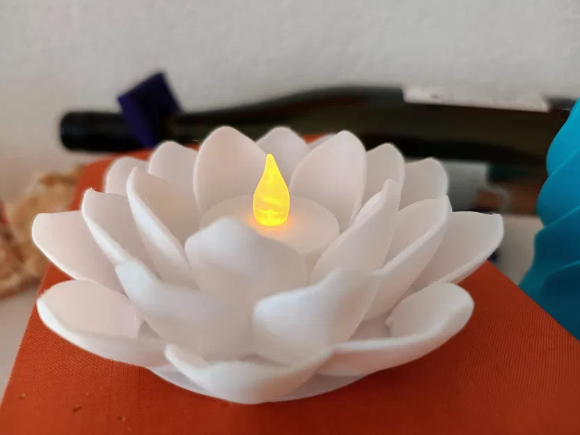 Hoa Sen Ánh Sáng "Light Lotus" - Image 1