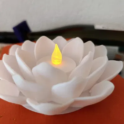 Hoa Sen Ánh Sáng "Light Lotus"